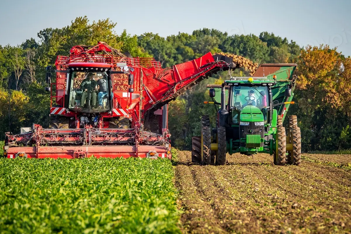 Automatisierte Prozesskette in einem Betrieb — Von der Website zum Verkaufssystem für Nischenmarken: Wie Spezialanbieter Anfragen automatisiert qualifizieren